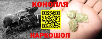 ALPHA PVP Бердск