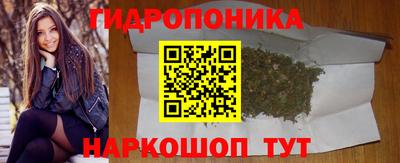 ALPHA PVP Бердск