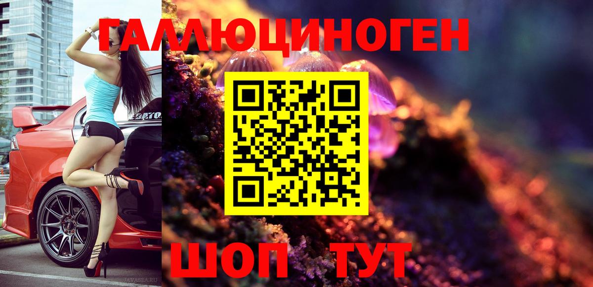 Вольск  Галлюциногенные грибы Cubensis  Вход с VPN 